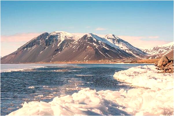 夢到了姨電話問那種奶好是凶兆還是吉兆_周公解夢官網