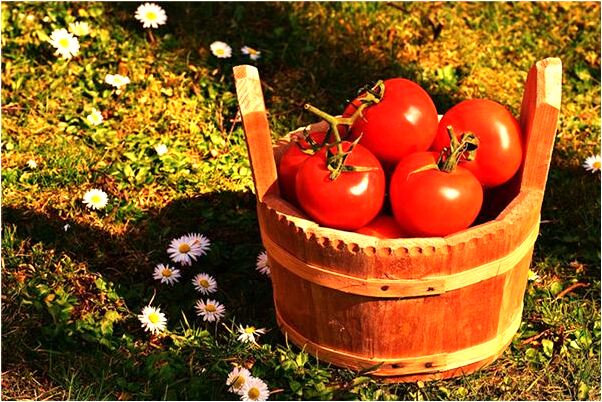 夢到好多毛毛蟲在我家裡有什麼預示嗎_周公解夢官網