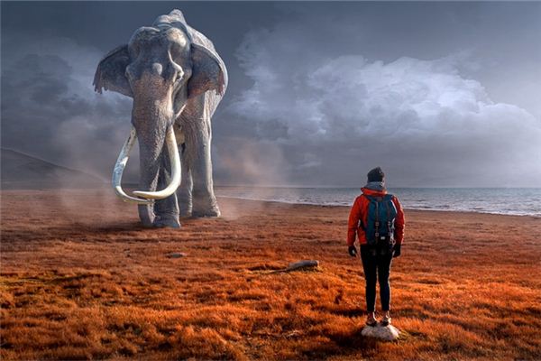 夢到噩夢驚醒預示什麼_周公解夢