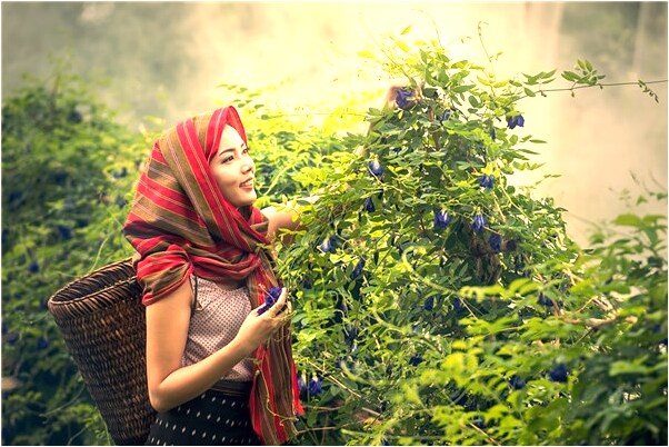 夢到了江面泊船上面很多人是凶兆還是吉兆_周公解夢官網