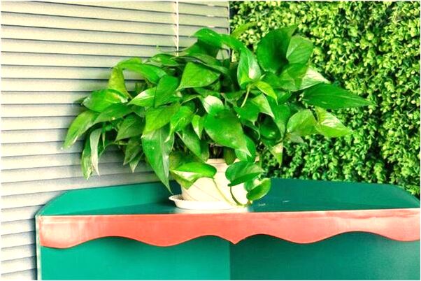 夢見爺爺給我一個手鐲好不好_周公解夢官網