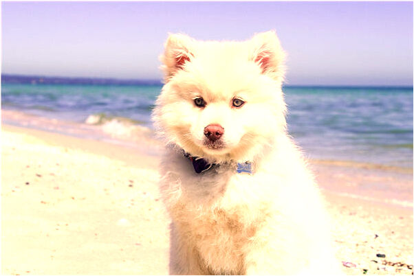 夢到胳膊長手指是凶兆還是吉兆_周公解夢官網