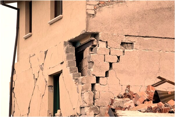 夢到想抱可愛的貓會怎么樣_周公解夢官網