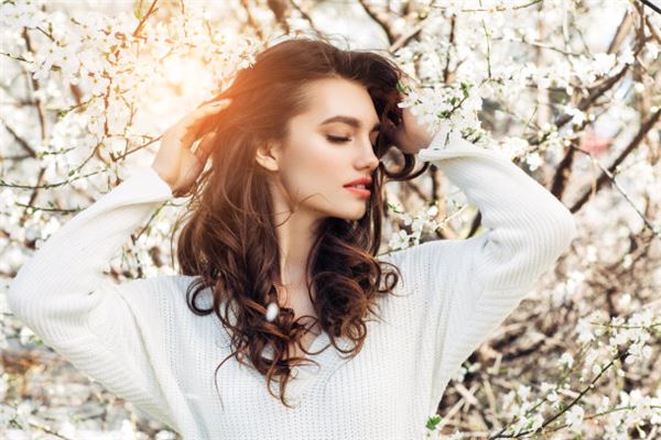 豬人的運勢婚配_十二生肖