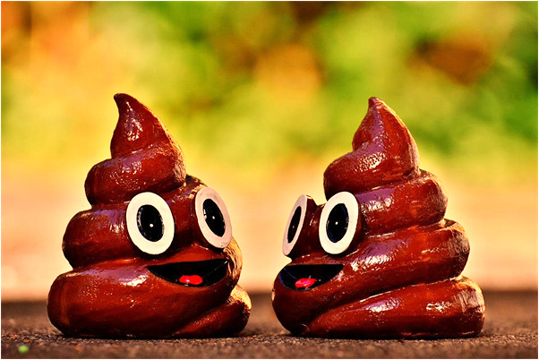 夢到扔河裡是好的徵兆嗎_周公解夢官網