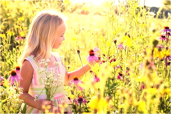 夢見家裡的房子被炸了是什麼徵兆_周公解夢官網