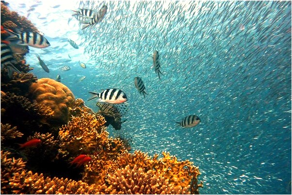 夢到了抱一男一女小孩會是什麼預兆_周公解夢官網