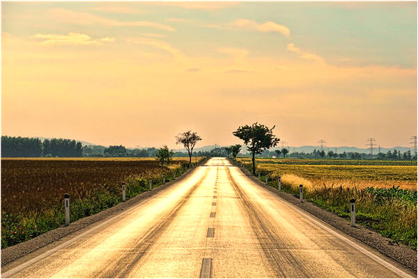 夢到了門口池子水撈黃豆有什麼意義嗎_周公解夢官網
