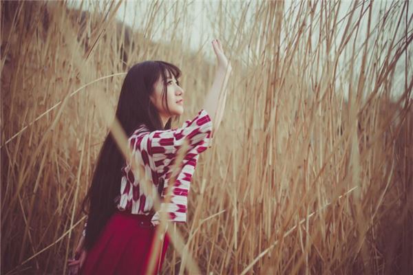 1967年屬相是什麼？_十二生肖