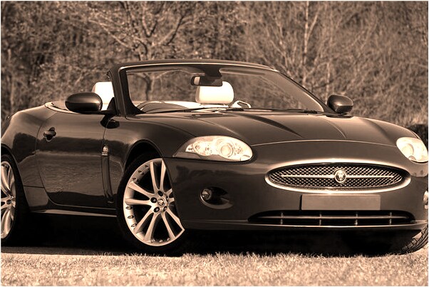 夢見抓住白龍的尾巴有什麼預示嗎_周公解夢官網