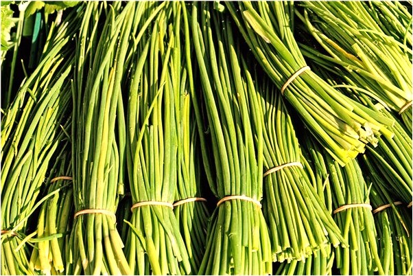 夢見別人裸體游泳是不是好的徵兆呢_周公解夢官網