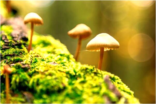 夢見我一個人在結婚是好事還是壞事_周公解夢官網