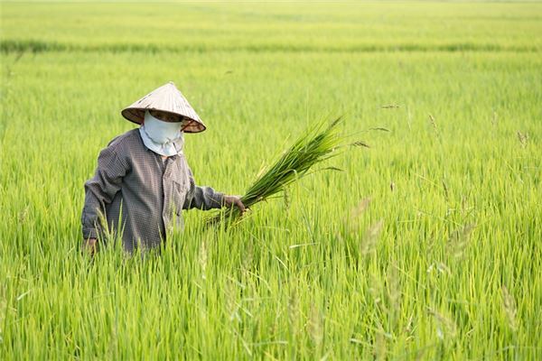 夢到幫忙幹活怎么回事_周公解夢