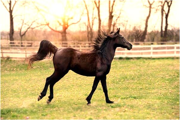夢見和嫂子找房子是好是壞_周公解夢官網