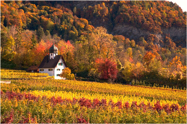夢見天下著雨意味著什麼_周公解夢官網