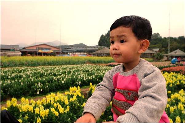 夢到運鋼材是好事還是壞事_周公解夢官網