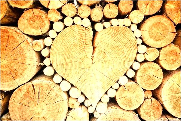 夢到了女人陰莖意味著什麼_周公解夢官網