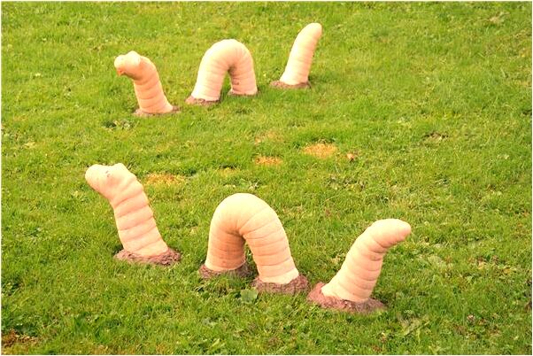 夢到餵兩隻小白狗吃奶怎么樣_周公解夢官網