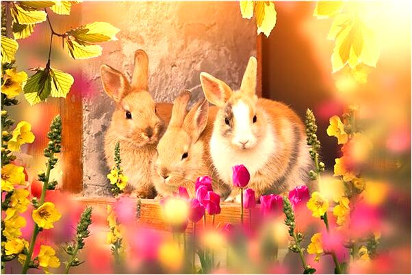 夢見老公變成惡魔是咋回事_周公解夢官網