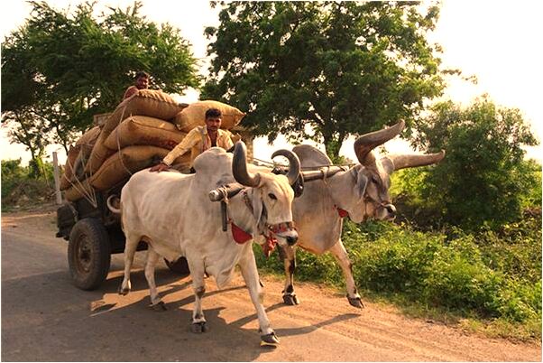 夢見和已故的母親在一起是凶兆還是吉兆_周公解夢官網