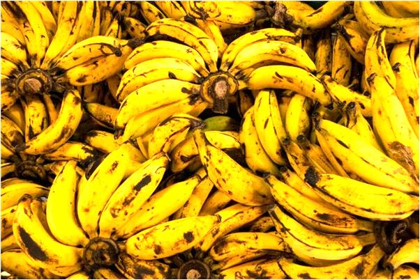 夢到瘋子醉鬼是好的徵兆嗎_周公解夢官網