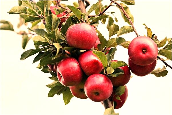 夢見自己殺死女友預示什麼_周公解夢官網