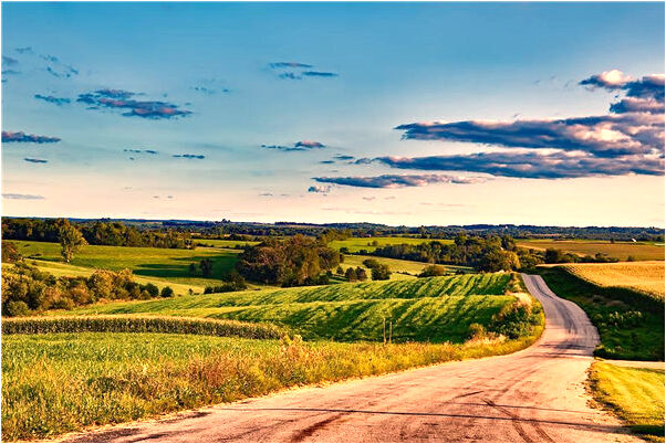 夢到了同事的老婆被人罵是吉兆嗎?_周公解夢官網