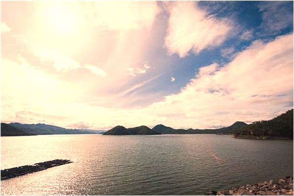 夢見同事結婚預示著什麼_周公解夢官網