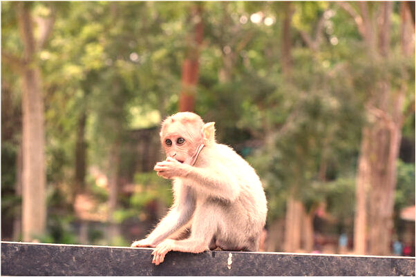 夢到打女朋友的臉會有什麼預兆_周公解夢官網