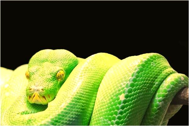 夢到了天空穿了個洞預示什麼_周公解夢官網