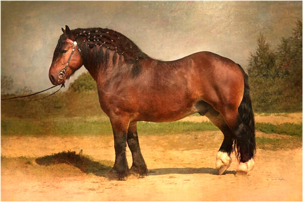 夢見一路撿一塊錢是什麼兆頭_周公解夢官網