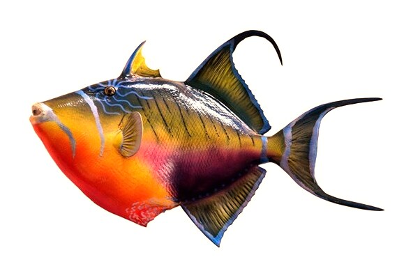 夢到車將行李箱帶走了是啥預兆_周公解夢官網