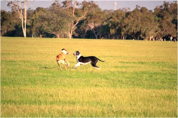 夢到爸媽不認識我了是咋回事_周公解夢官網