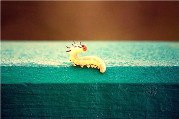 夢到和失去的親人生活有什麼徵兆_周公解夢官網