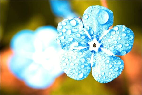 夢到假睫毛坏了怎么說_周公解夢官網