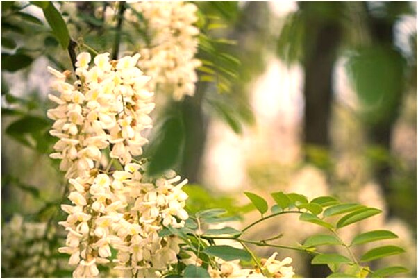 夢見和女朋友和好了意味什麼_周公解夢官網