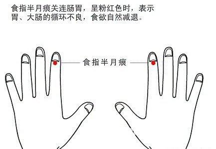 Half moon marks view health diagram 2