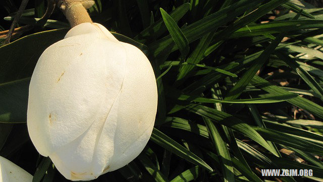 夢見不開心_周公解夢夢到不開心是什麼意思_做夢夢見不開心好不好_周公解夢官網