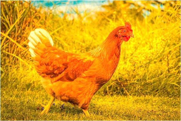 夢見被釘槍打手有什麼含義_周公解夢官網