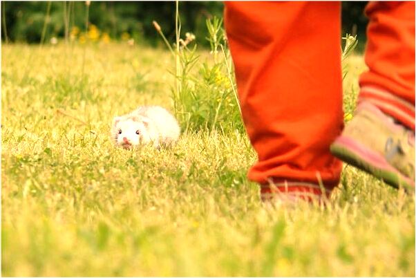 夢見與前男友有三胞胎有什麼意義嗎_周公解夢官網