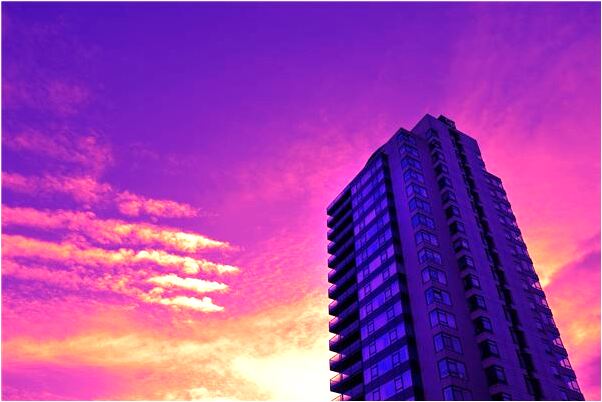 夢見很多人看見別人樹被盜是咋回事_周公解夢官網