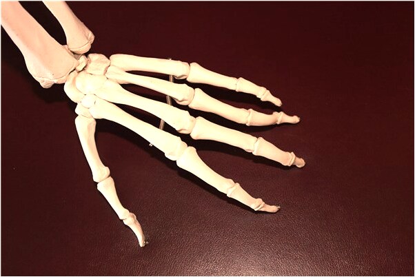 夢到了掉下面兩顆爛牙意味著什麼_周公解夢官網