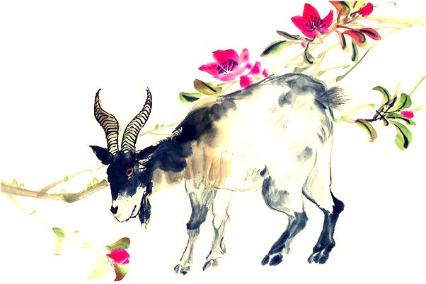 夢到救黑貓是好事還是壞事_周公解夢官網