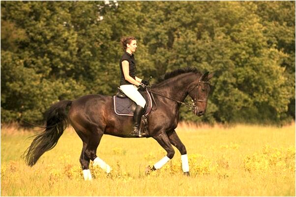 夢到了朋友陷害是凶兆還是吉兆_周公解夢官網