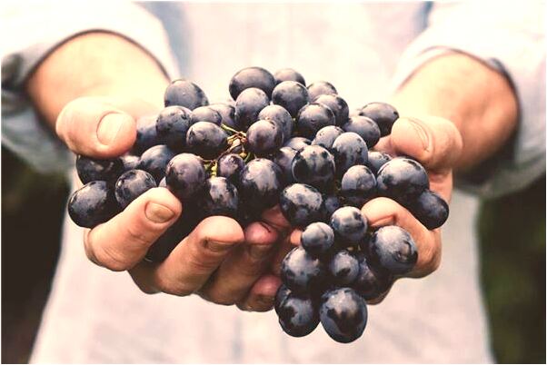 夢到有剛出生的瘦小的貓是什麼兆頭_周公解夢官網