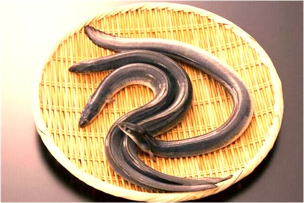 夢到大姨姐在我面前裸體是啥意思_周公解夢官網