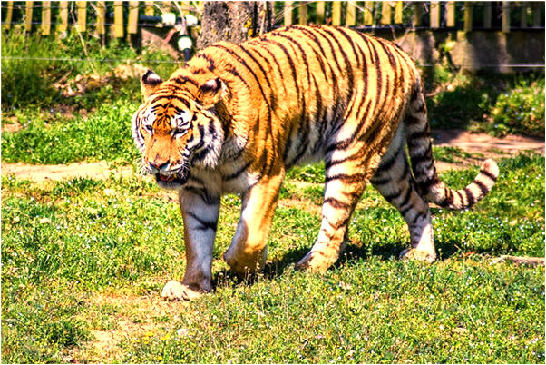 夢見仇人發財是什麼啟示_周公解夢官網