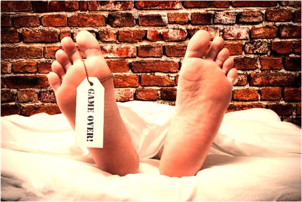 夢見活雞漏腸是什麼預兆_周公解夢官網