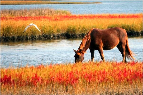 夢見上躺著臃腫人的床想睡覺好不好_周公解夢官網
