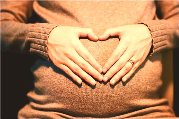 夢見大樹被偷有什麼意思_周公解夢官網